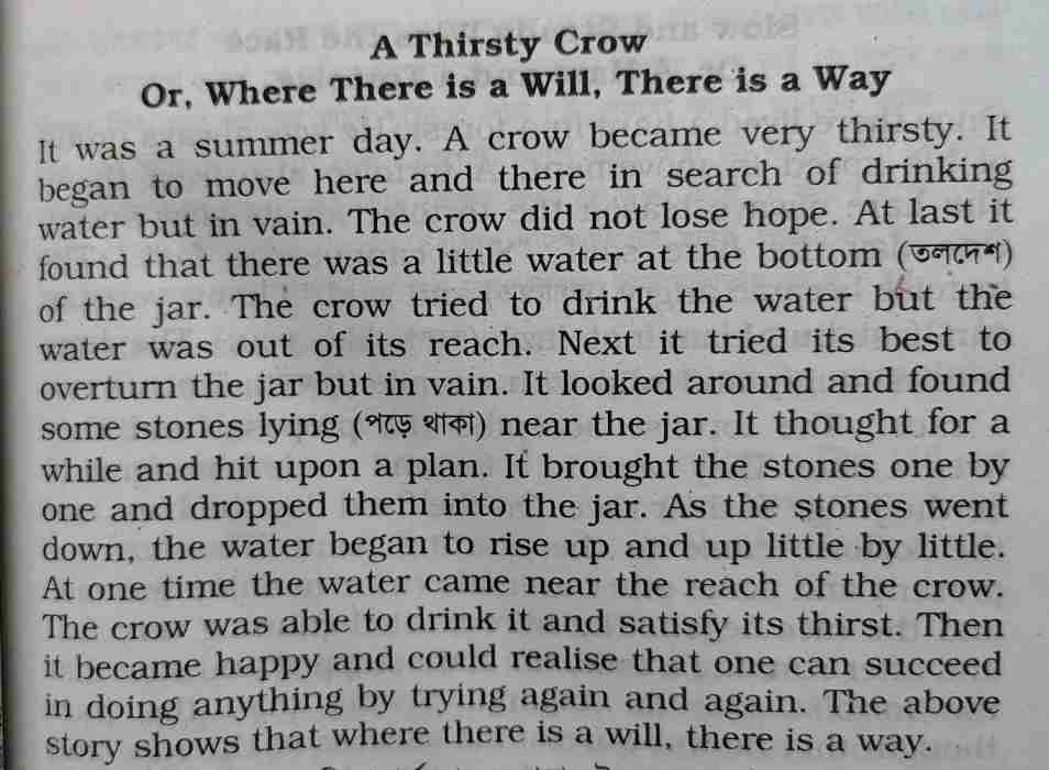 A Thirsty Crow completing story for Class 8