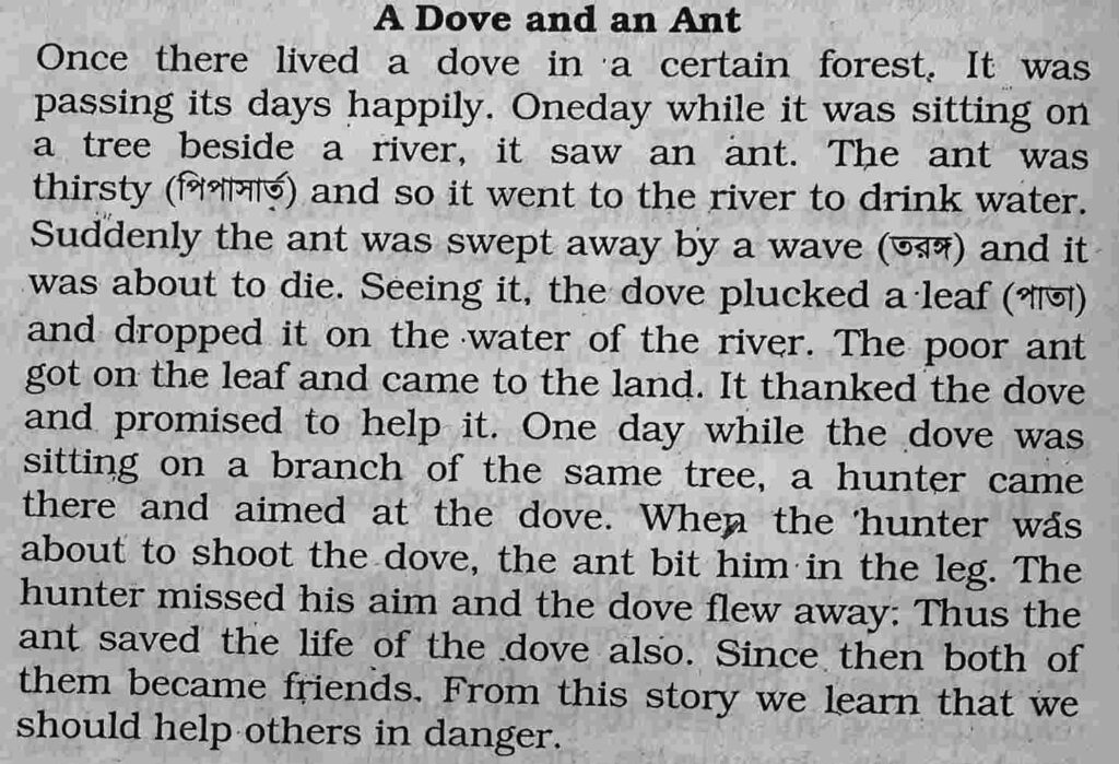 An Ant and a Dove Completing Story For Class 6, 7, 8