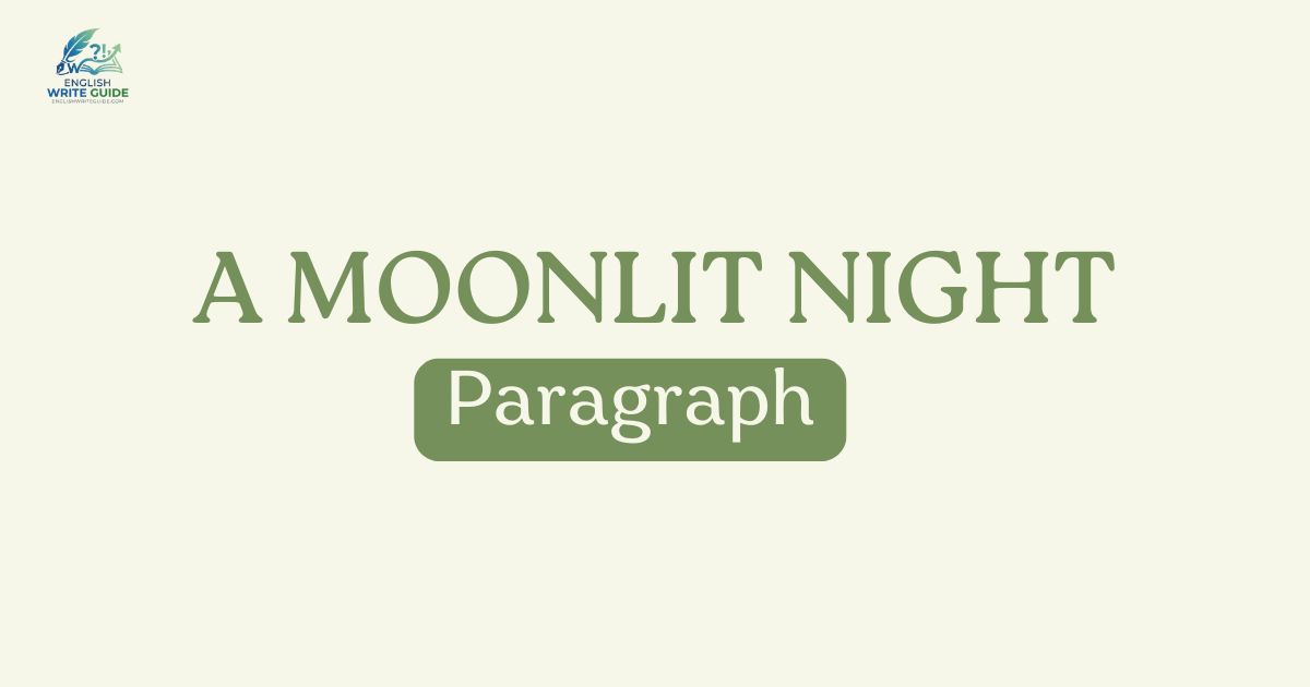 A Moonlit Night Paragraph