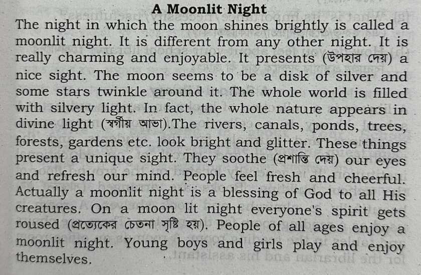 A Moonlit Night paragraph 200 words
