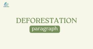 Deforestation Paragraph